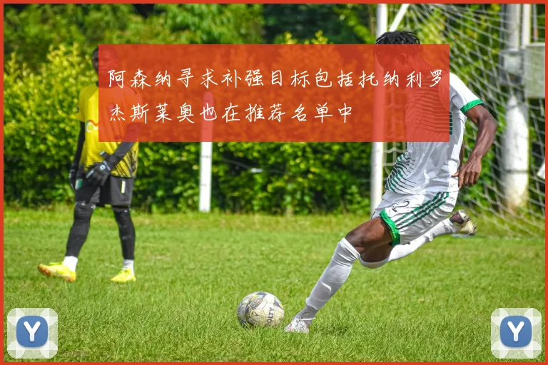 阿森纳寻求补强目标包括托纳利罗杰斯莱奥也在推荐名单中