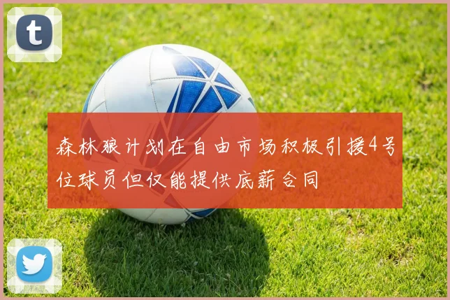 森林狼计划在自由市场积极引援4号位球员但仅能提供底薪合同